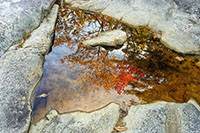 White_Mountains_NH_Color_20231002_134-136_Helicon_edit_VERO
